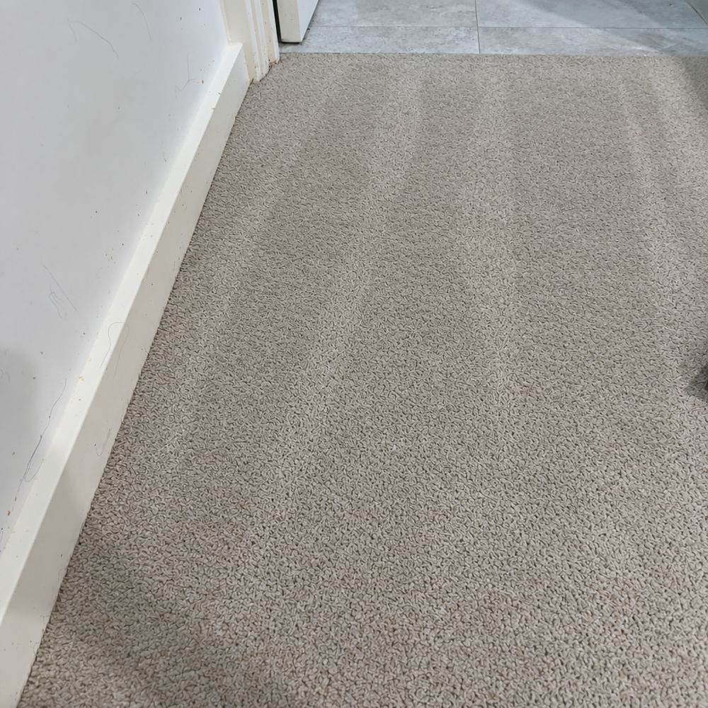 After: the same carpet clean and fresh