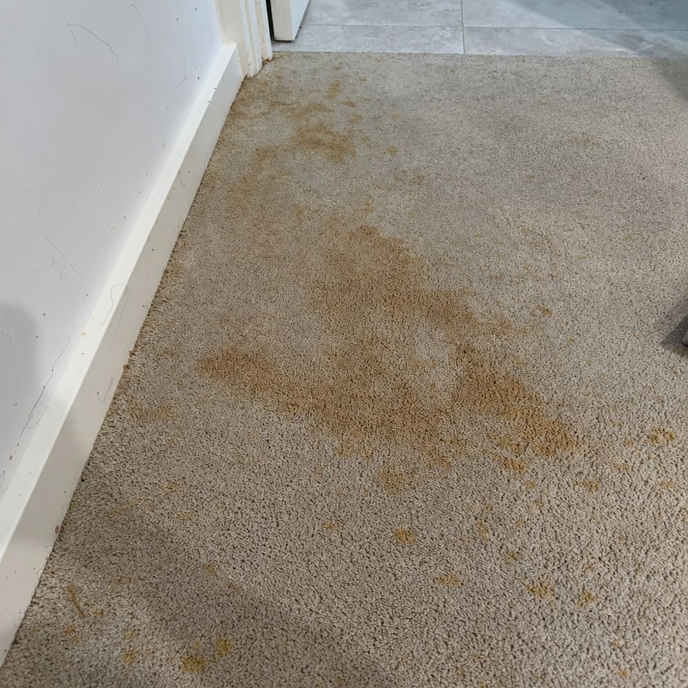 Before: carpet with brown staining through a hallway